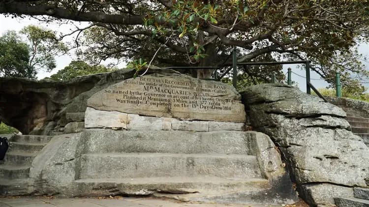 澳洲旅遊｜《小孩不佔床扣一萬》雪梨經典必遊·與無尾熊下午茶之約、親牽羊駝、親子趣金雪8日-7