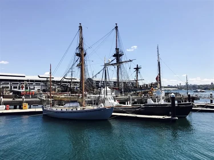 澳洲旅遊｜《小孩不佔床扣一萬》雪梨經典必遊·與無尾熊下午茶之約、親牽羊駝、親子趣金雪8日-13