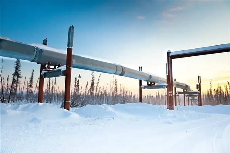 最高省３千》阿拉斯加│冰川健行、極光列車、珍娜溫泉泡湯、極光之城費爾班克斯、西雅圖城市遊、華麗美洲１０日-5