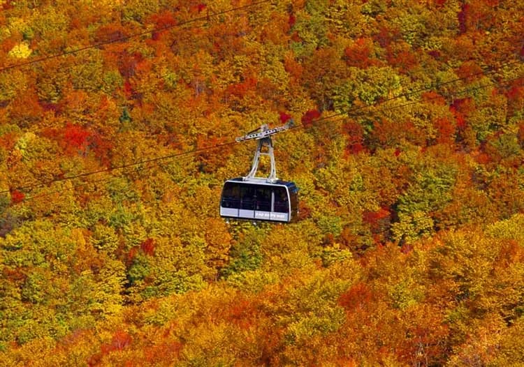 追楓好食在東北旅遊|藏王纜車.五色沼檜原湖遊船.鶴城.合掌村.松島五大堂.秋保瀑布.牛舌餐.採果.3晚溫泉五日