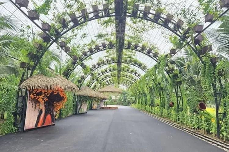 飛機椰林咖啡廳(特別贈送蛋糕＋飲料每人乙份)