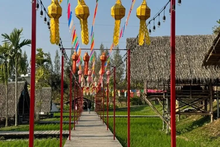 水雲端(森林美學莊園)