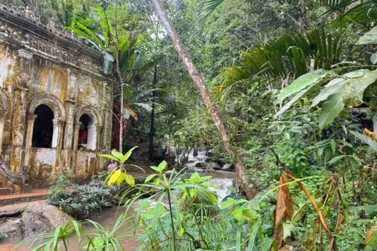 森林禪院(Wat Pha Lat)