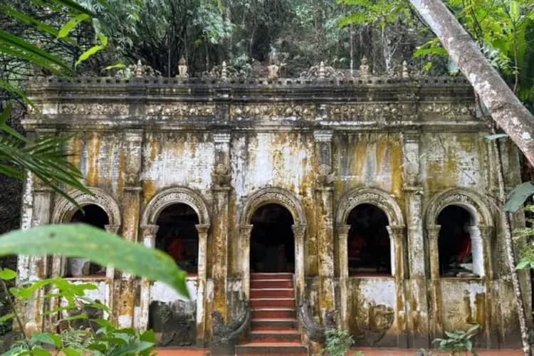 森林禪院(Wat Pha Lat)