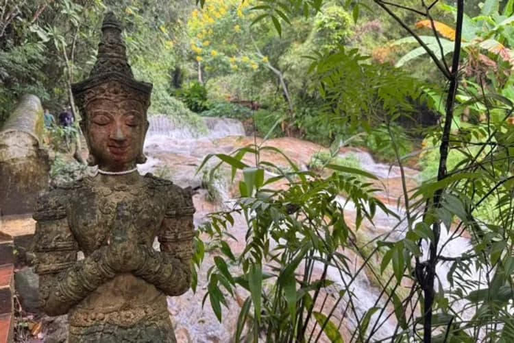 森林禪院(Wat Pha Lat)