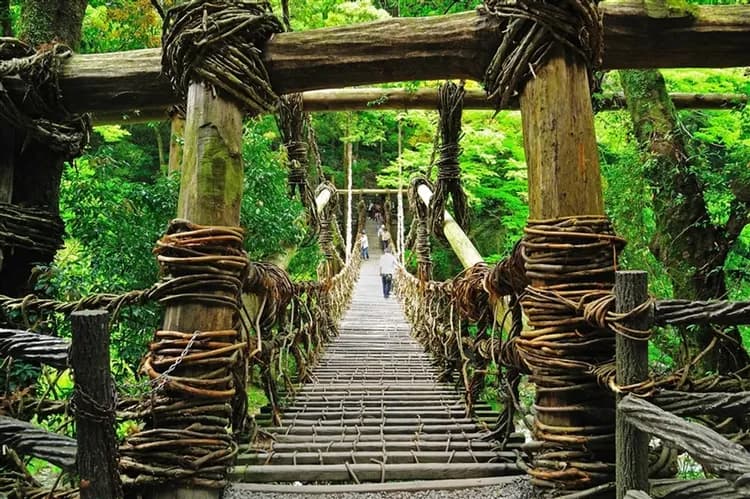 花現松山四國山陰山陽|日本三大鳥居~嚴島神社.鳥取砂丘.國寶松江城.米其林景點.牡丹名園.岡山德國森林花卉公園.道後溫泉街.烏龍麵DIY體驗.美酒美食七日-8