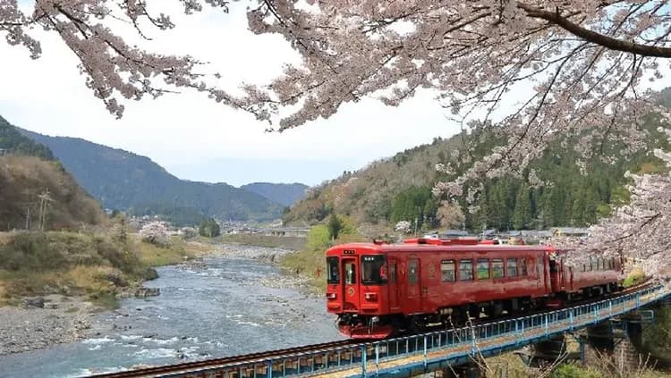 長良川鐵道 NAGARA號