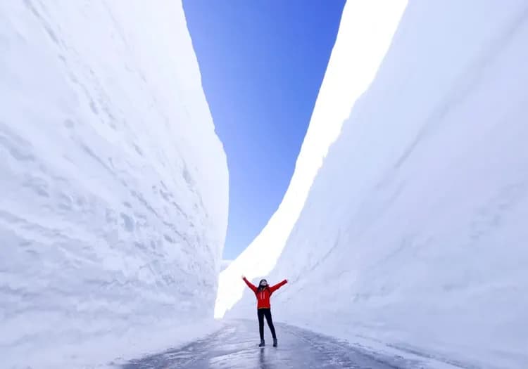 北陸好享吃｜雪牆限定｜黑部立山.童話合掌村.秘境上高地.兼六園.高山｜金箔冰淇淋.人氣布丁.燒肉吃到飽6日