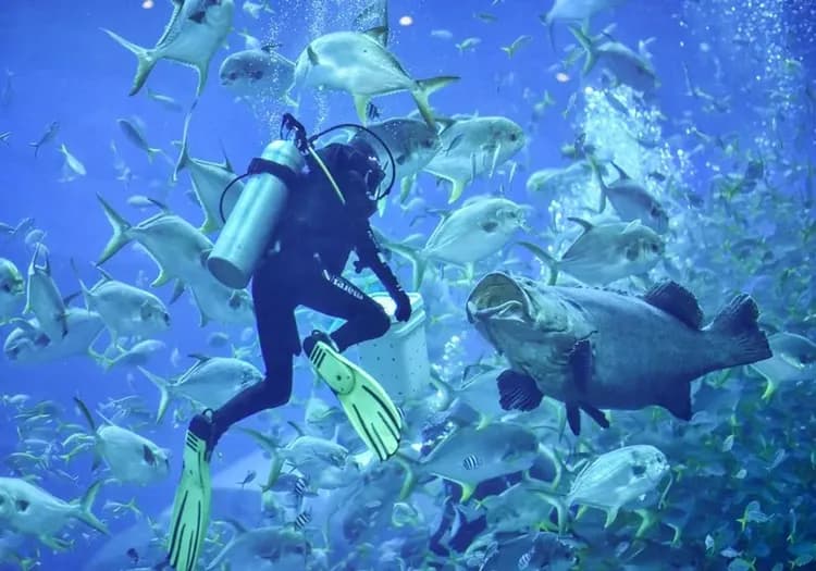 【VinWonders 珍珠奇幻主題樂園】