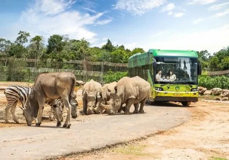 【富國島SAFARI野生動物園】