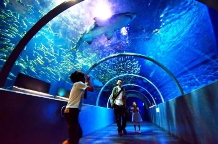 尼克斯海洋公園