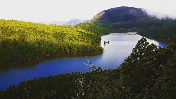 羅東三月三民宿-14