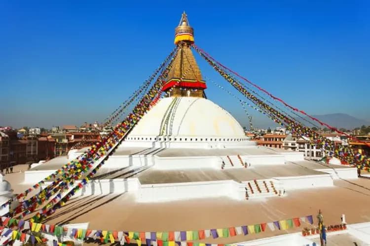 【奇幻尼泊爾、中段搭機】奇旺國家公園、兩大生態體驗、三大杜巴廣場、四晚五星飯店九日-6