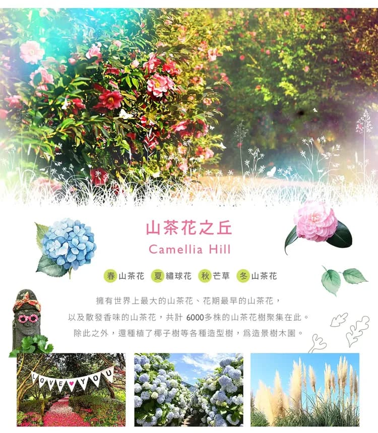 【潮玩濟州５日】無購物、兩晚五星飯店、兩晚海景飯店、燉白帶魚、碳酸溫泉、海女博物館[含稅簽]-10