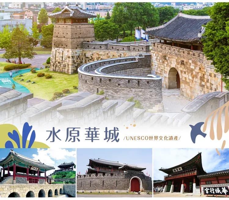 【高雄出發．韓國世宗落火節５日】不進人蔘保肝、落火慶典、餵海鷗、汗蒸幕咖啡、弘大[含稅簽]-7