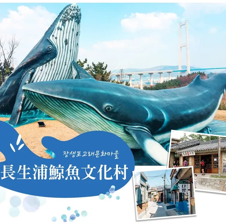 【限GO釜山精華４日】彩妝一站、LUGE滑車、伽倻塗鴉秀、天空膠囊列車、釜山必吃美食[含稅]-9