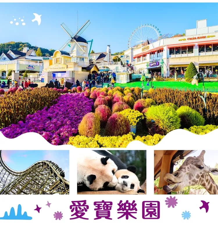 【易清省首爾５日】愛寶樂園、忠州湖遊船、廣藏市場、益善洞、韓國烤肉[含稅]-7