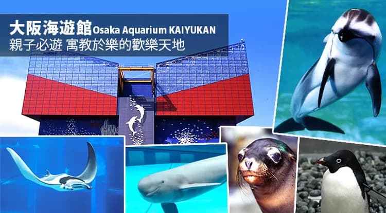 兒童最高減一萬｜親子三大主題～京阪奈.天王寺動物園.海遊館.環球影城.達摩勝尾寺.遊船五日｜送四項快速劵-5