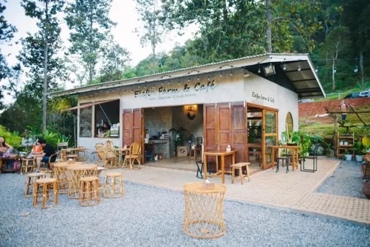 大象網美咖啡廳(飲料一杯+餵食大象點心)