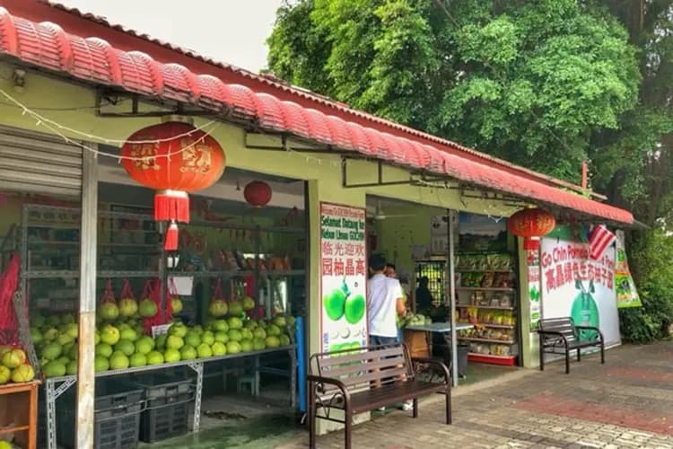 馬來西亞～怡保風情遊、吉隆坡黑風洞、馬六甲三輪車、濱樂雅渡假村六日-10