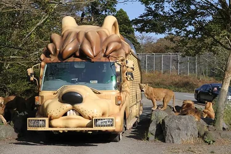 富士野生動物園｜搭乘叢林巴士＋動物餵食
