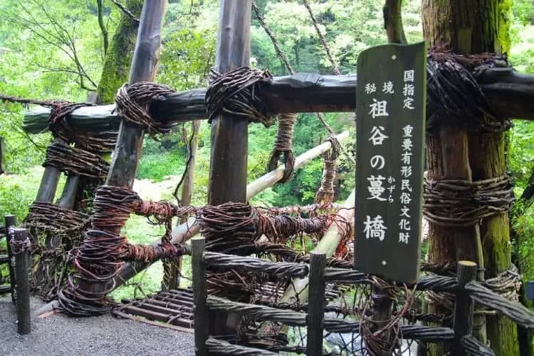 祖谷葛藤橋(日本三大奇橋)