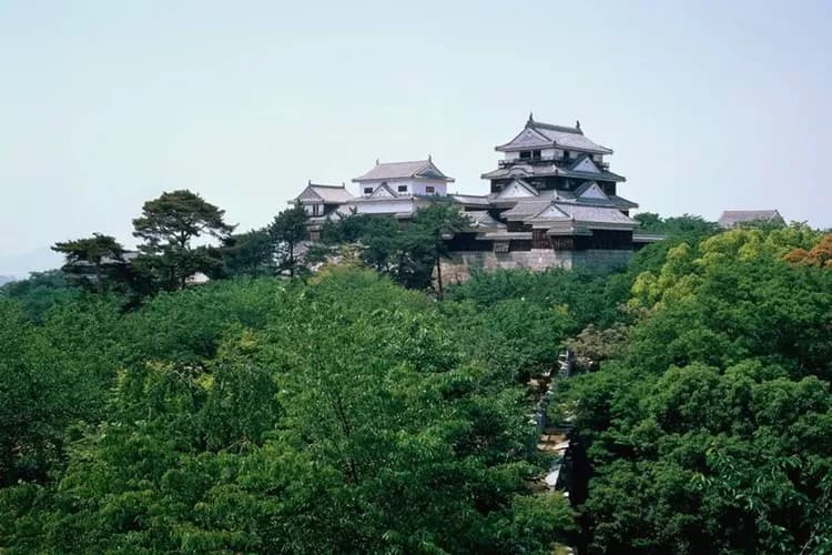 促銷松山四國～松山城纜車、大步危遊船、雲之上檮原町、名園名景漫遊五日-7