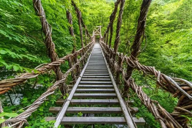 祖谷葛藤橋(日本三大奇橋)