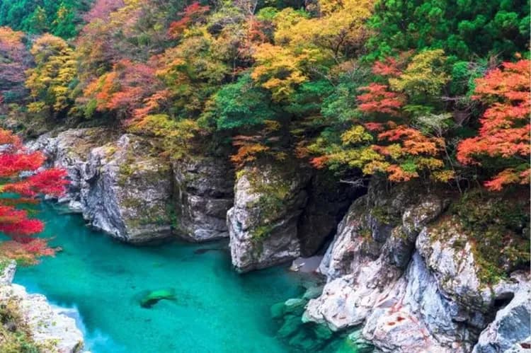 楓情松山四國～來島觀潮船、大步危遊覽船、名園名景漫遊、賞味溫泉美饌五日