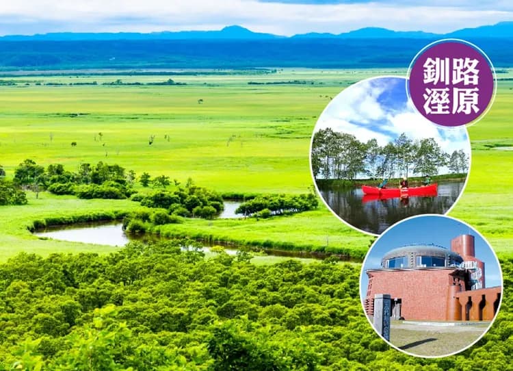 紫色花現北海道道東6日.綿羊秀.旭山動物園.熱氣球體驗.釧路溼原小火車.採果樂.富良野五大好禮.和牛三大螃蟹饗宴-9