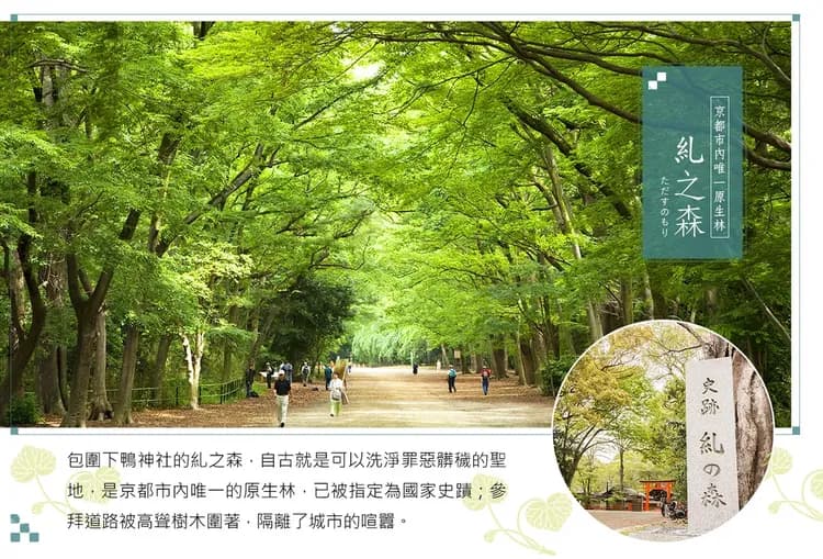 【激省海京都５日】日本環球影城、伊根舟屋遊船、天橋立纜車、稻荷大社、下鴨神社、燒肉吃到飽[含稅]-5