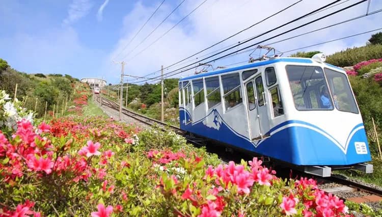 東京旅遊｜十国峠纜車.三嶋大社.三島吊橋.豐洲千客萬來.橫濱港灣.伊豆溫泉六日｜台中出發-6