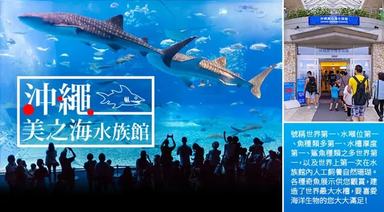 沖繩旅遊｜湛藍古宇利、美麗海水族館、琉球王朝、波上宮祈福、瀨長島陽光五日｜贈單軌電車劵-6