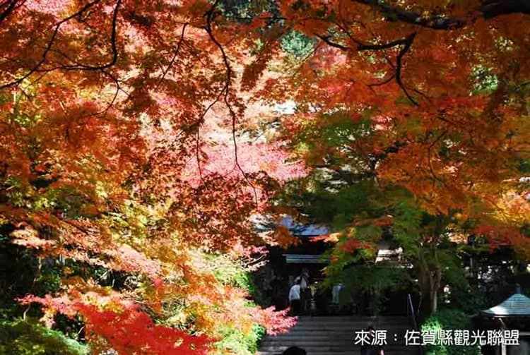 九州紅葉大賞～楓紅高千穗峽、湯布院金鱗湖、環境藝術之森、阿蘇溫泉體驗五日-7