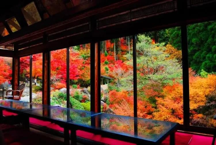 九州紅葉故事