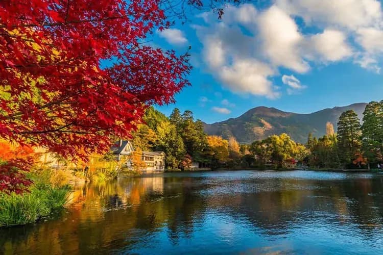 九州紅葉大賞～楓紅高千穗峽、湯布院金鱗湖、環境藝術之森、阿蘇溫泉體驗五日