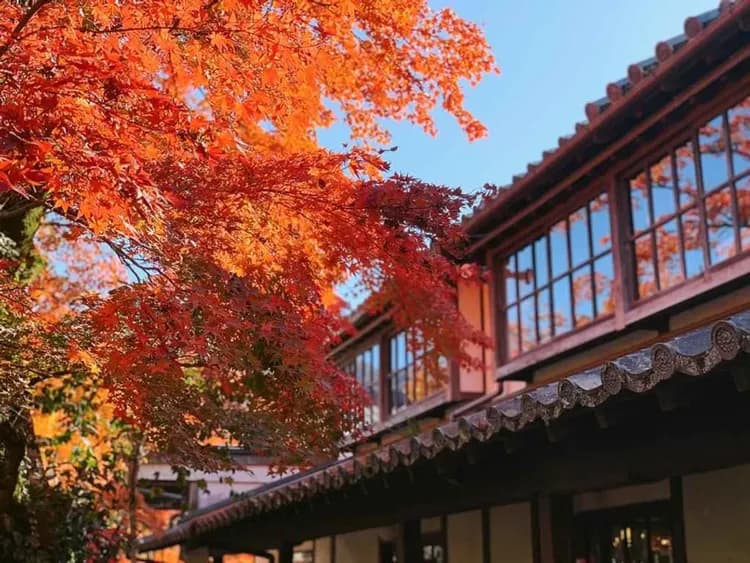 晨霧湯布院