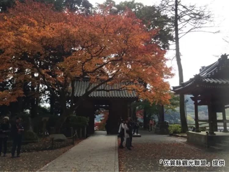 九州紅葉故事