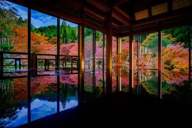 九州紅葉故事