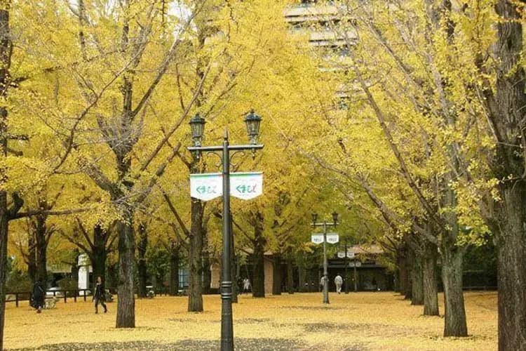 熊本漫遊