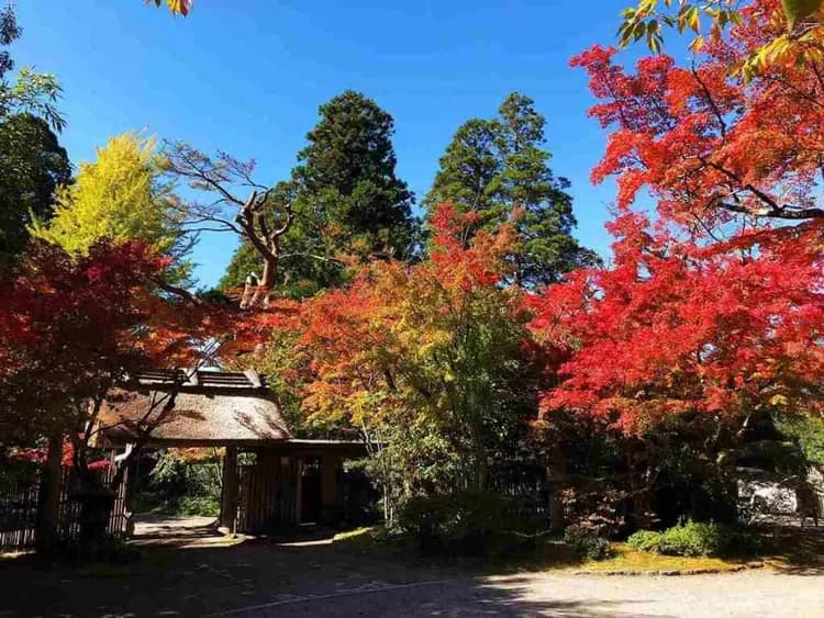 晨霧湯布院