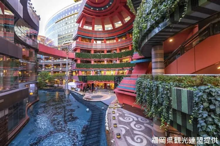 KHH【九州FUN暑假、兒童不佔減6000】豪斯登堡樂園、長崎動物園、海之中道水族館、乙晚五星飯店五日-6