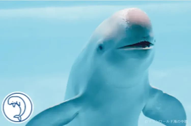 海之中道海洋公園