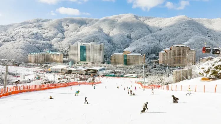 洪川大明SONO VIVALDIPARK滑雪度假村