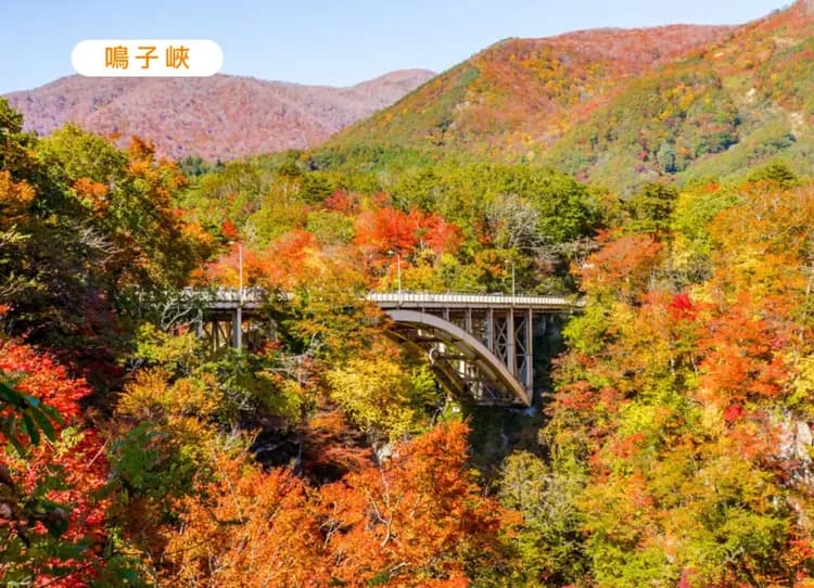 紅葉戀曲東北奧入瀨溪雙溫泉5日.銀河星空纜車.猊鼻溪遊船.鳴子峽.銀山溫泉.抱返溪谷.松島遊船.牛舌料理(花卷進出)