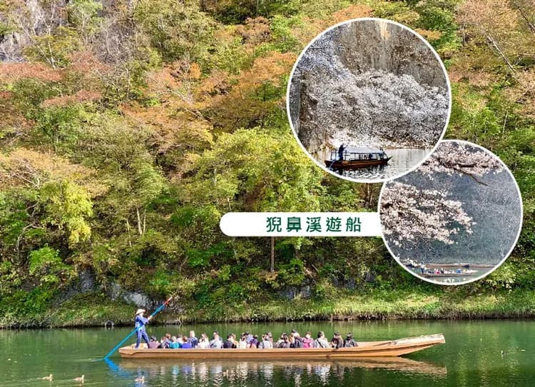 紅葉戀曲東北奧入瀨溪雙溫泉5日.銀河星空纜車.猊鼻溪遊船.鳴子峽.銀山溫泉.抱返溪谷.松島遊船.牛舌料理(花卷進出)-5