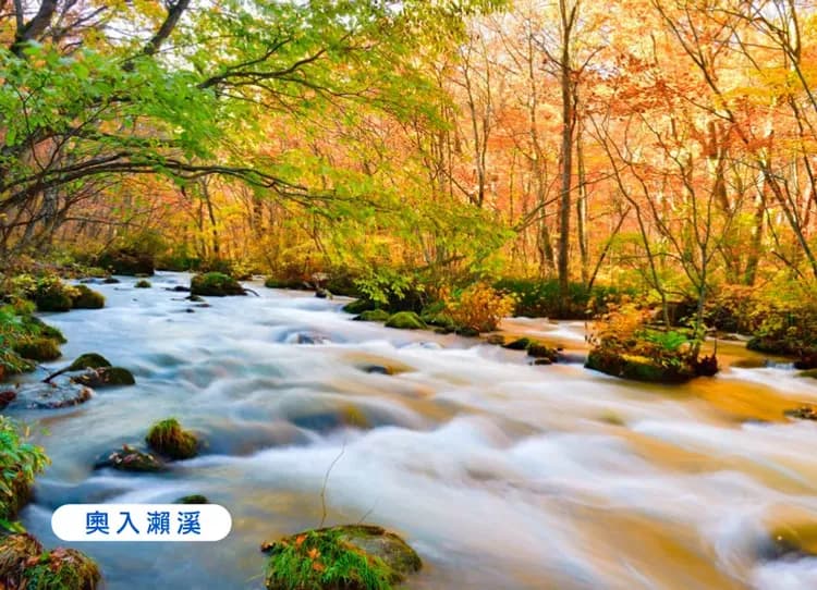 早鳥折兩千紅葉絮語.東北湯宿巡禮5日.奧入瀨紅葉.楓景鐵道.抱返溪谷.採果樂.狔鼻溪遊船.銀山溫泉.(仙台進花卷出)