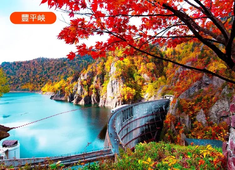 漫遊楓境北海道全覽三溫泉6日.黑岳空中纜車.真鍋庭園.紅色珊瑚草.阿寒湖遊船.豐平峽.層雲峽紅葉燈光.三大螃蟹和牛吃到飽-10