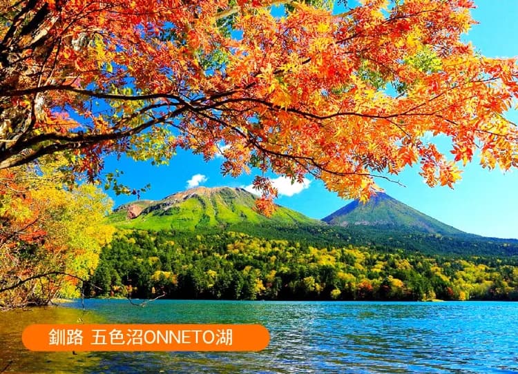 漫遊楓境北海道全覽三溫泉6日.黑岳空中纜車.真鍋庭園.紅色珊瑚草.阿寒湖遊船.豐平峽.層雲峽紅葉燈光.三大螃蟹和牛吃到飽-8