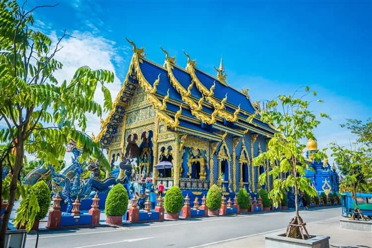 旅展優惠│清邁│清萊│升等國際五星一晚,清萊藍白廟,青青草原,翠峰茶園,愛象之家,森林藝術村,尼曼商圈五日